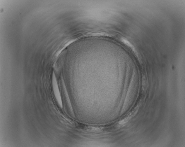 X0000088401361200706191347