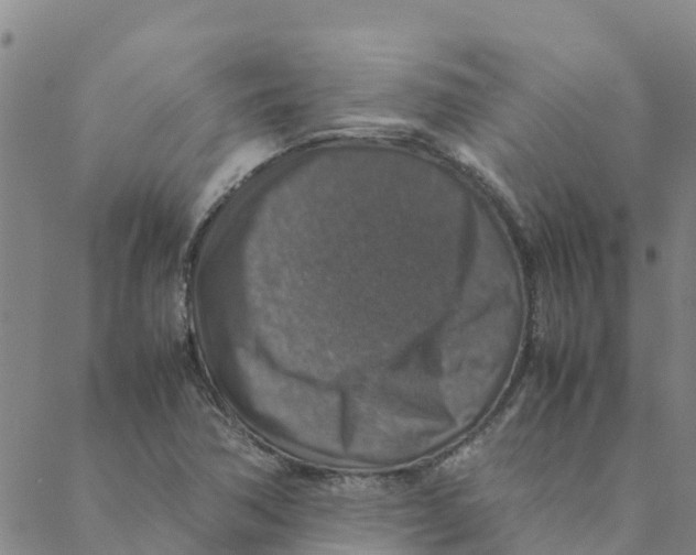 X0000088401362200706191347