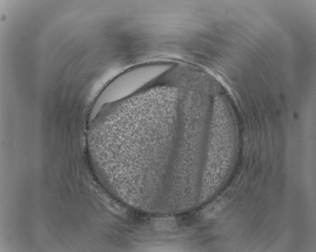 X0000088401363200706191347