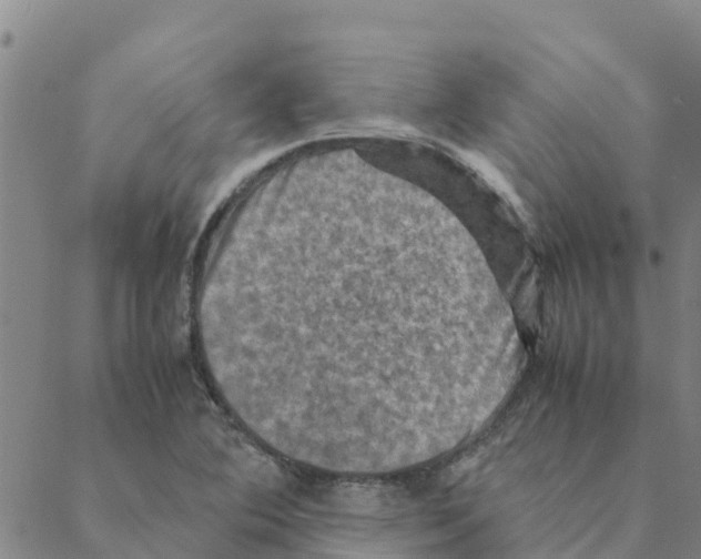 X0000088401364200706191347