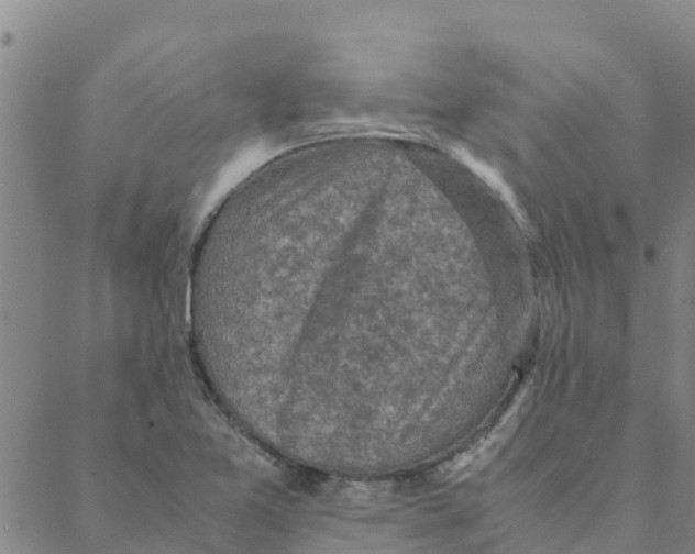 X0000088401365200706191347