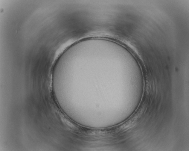 X0000088401366200706191347