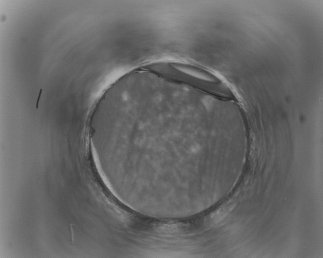 X0000088401367200706191347