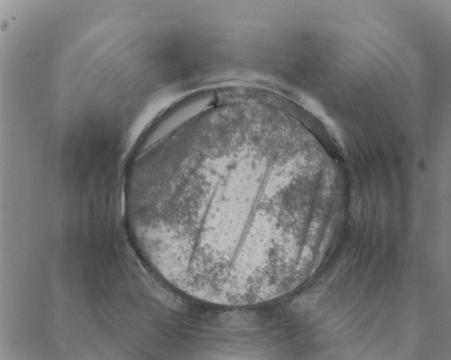 X0000088401368200706191347