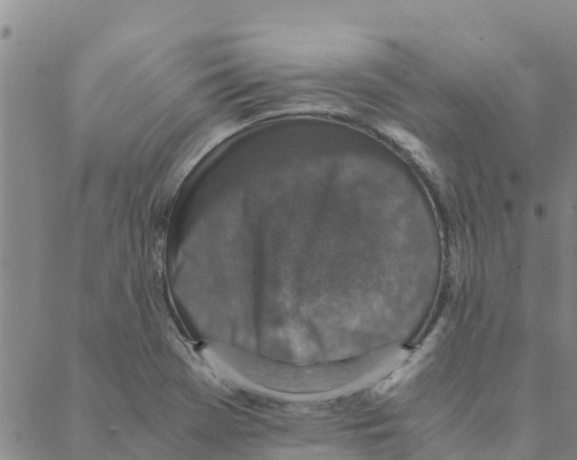 X0000088401369200706191347