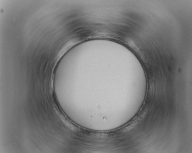 X0000088401370200706191347