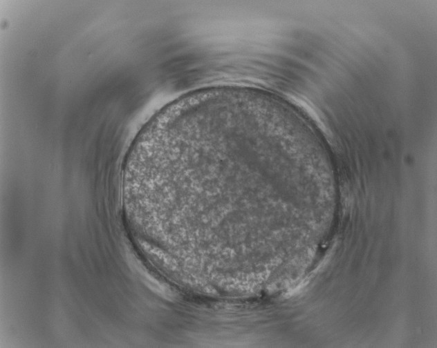 X0000088401371200706191347