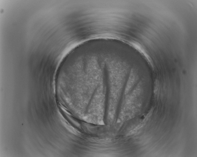 X0000088401372200706191347