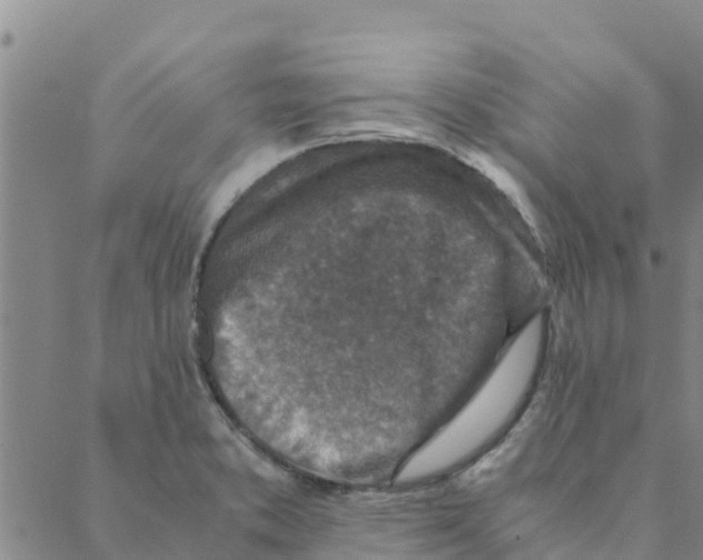 X0000088401373200706191347