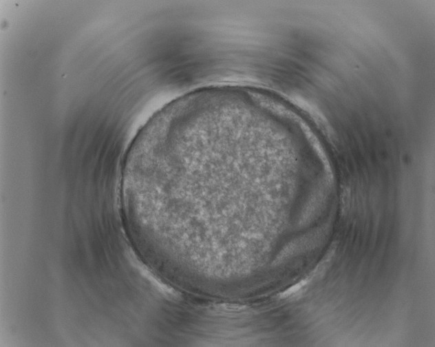 X0000088401374200706191347