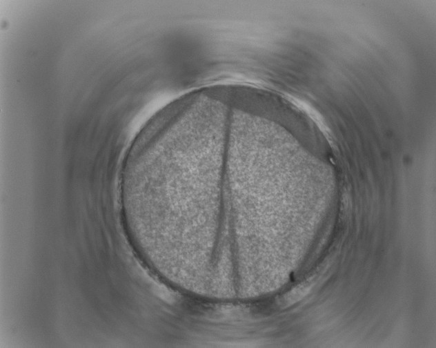 X0000088401375200706191347