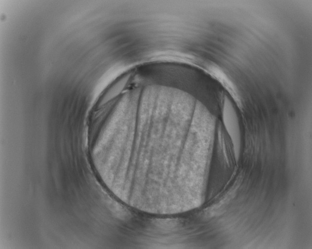 X0000088401376200706191347