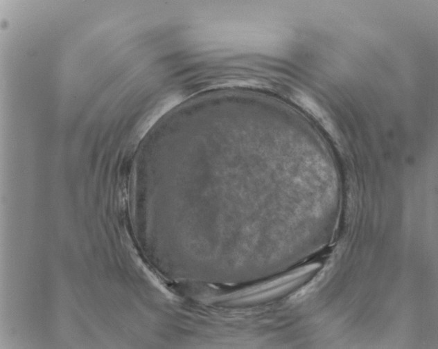 X0000088401377200706191347