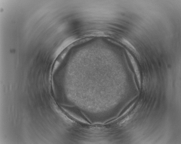 X0000088401378200706191347