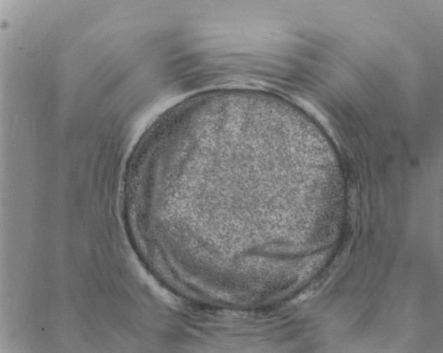 X0000088401379200706191347