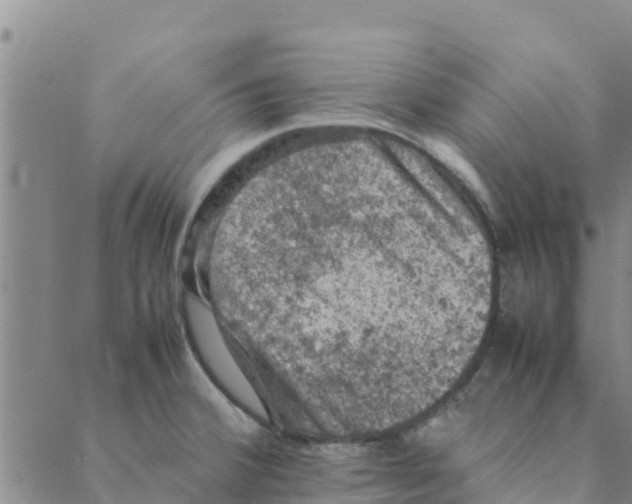 X0000088401380200706191347