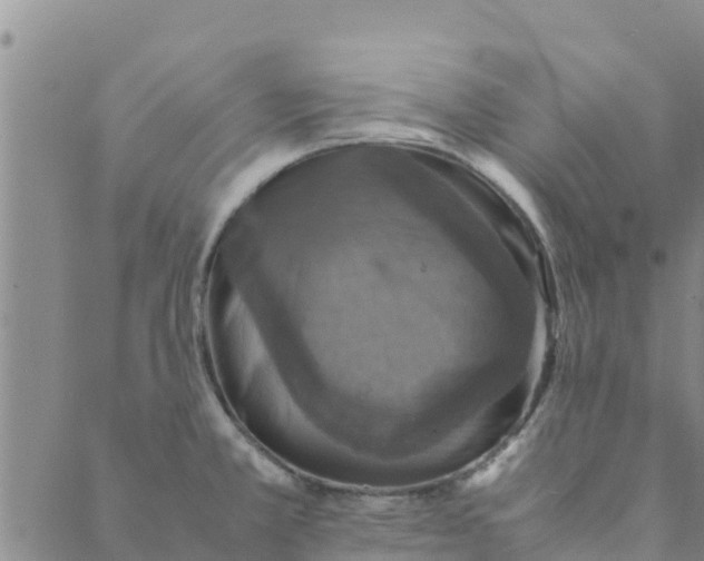 X0000088401381200706191347