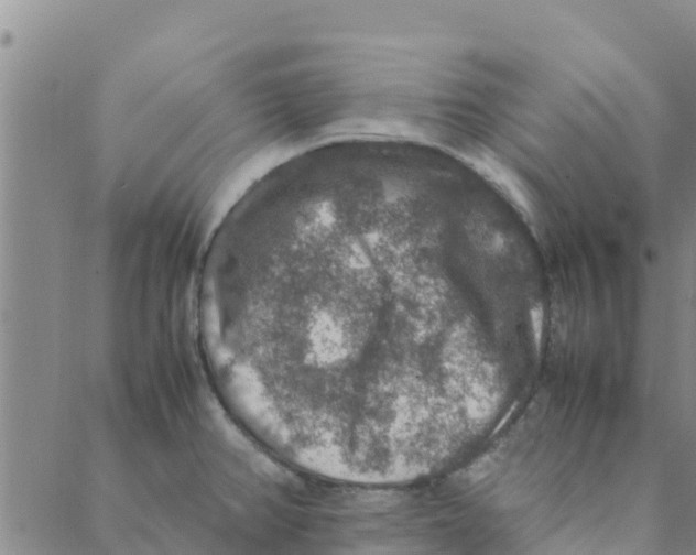 X0000088401382200706191347