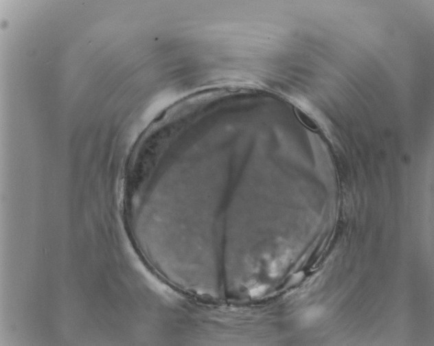 X0000088401383200706191347