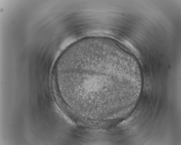 X0000088401384200706191347