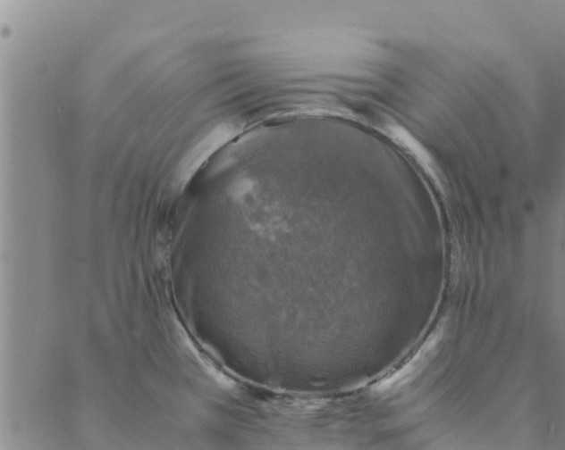 X0000088401385200706191347