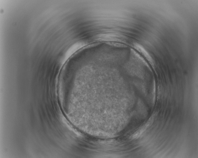 X0000088401386200706191347