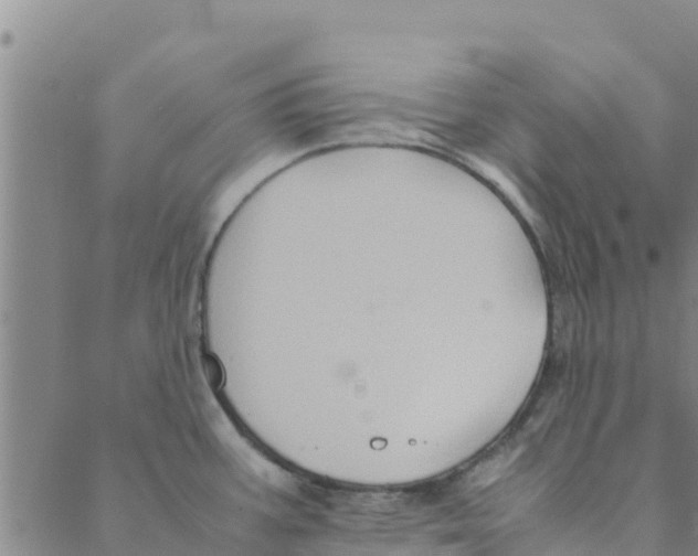 X0000088401387200706191347