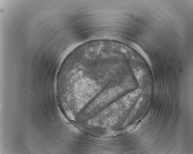 X0000088401388200706191347