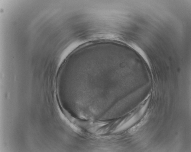 X0000088401389200706191347