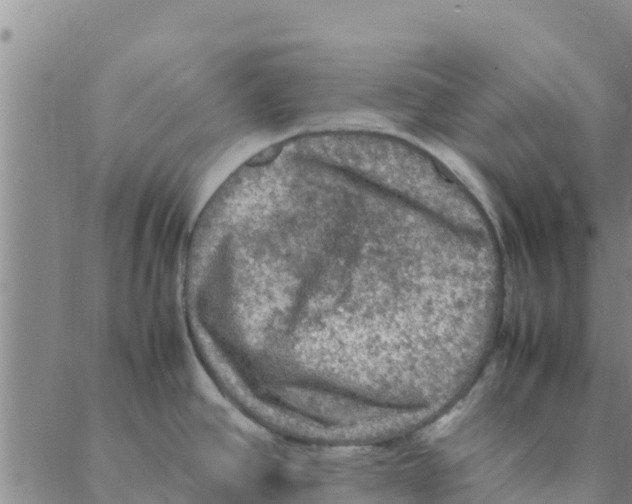 X0000088401390200706191346