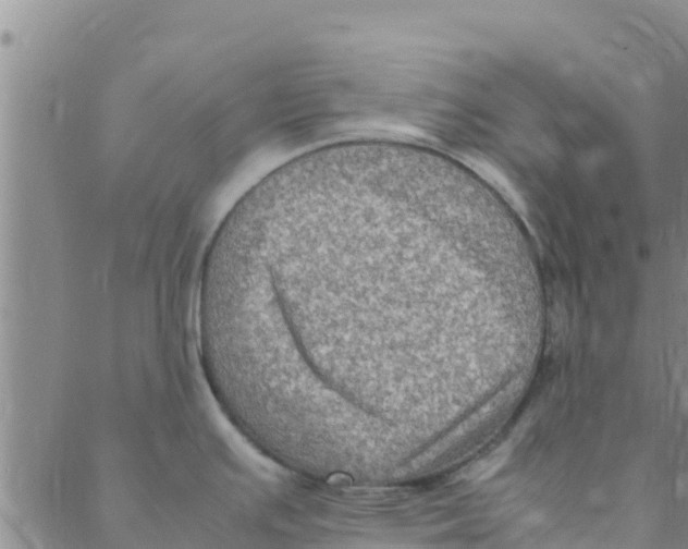 X0000088401391200706191346