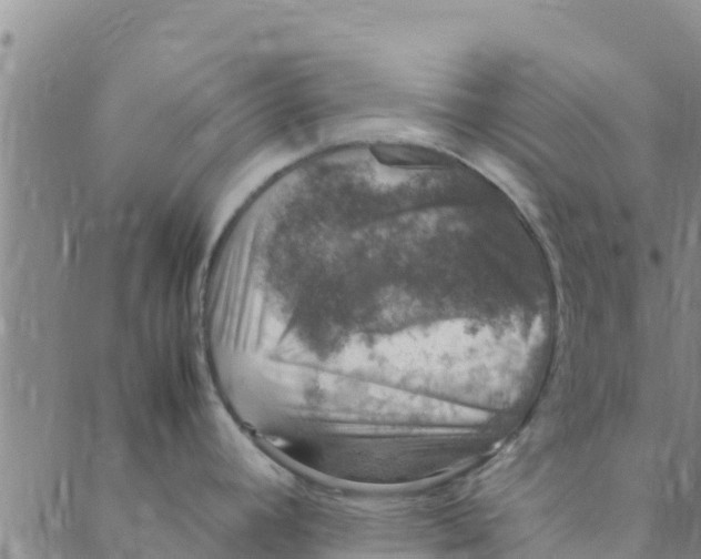 X0000088401392200706191346