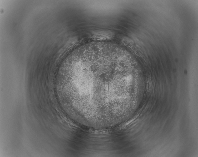 X0000088401393200706191346