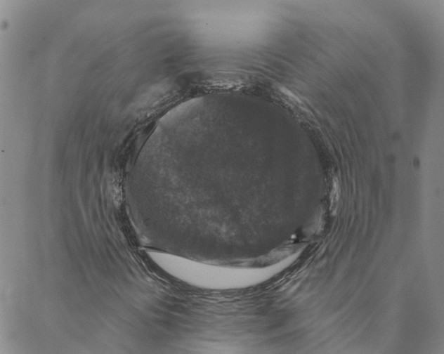 X0000088401394200706191346