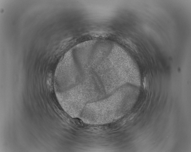 X0000088401396200706191346