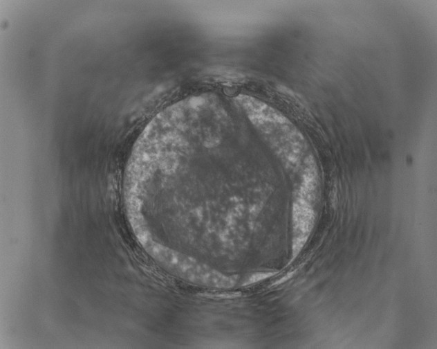 X0000088401397200706191346