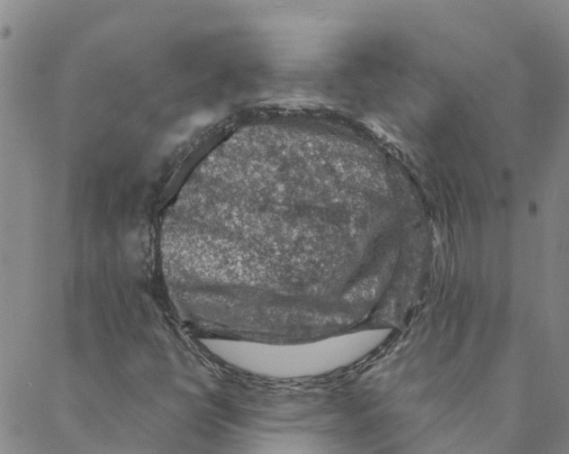 X0000088401398200706191346