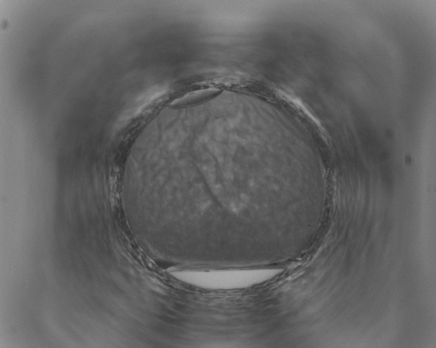 X0000088401399200706191346