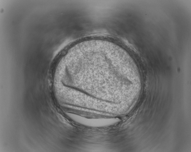 X0000088401400200706191346