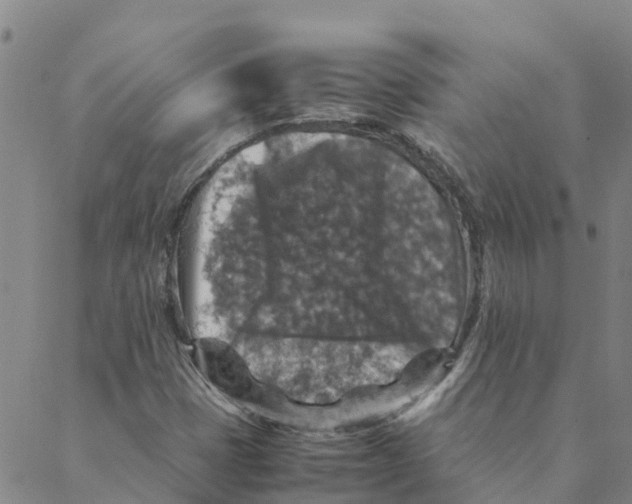 X0000088401401200706191346