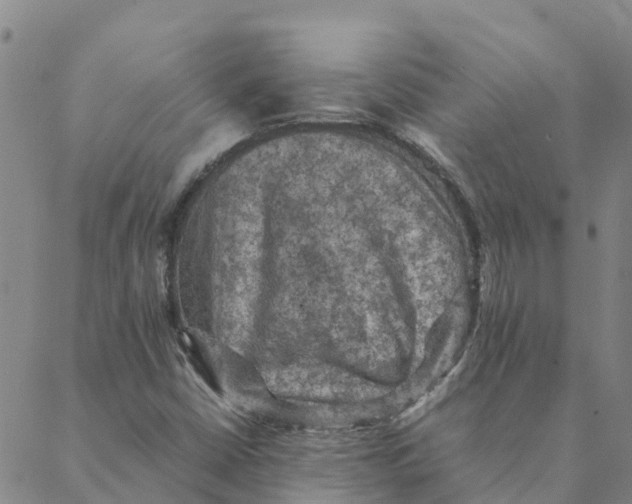 X0000088401402200706191346