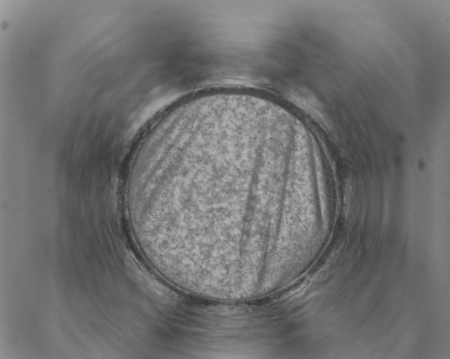 X0000088401404200706191346