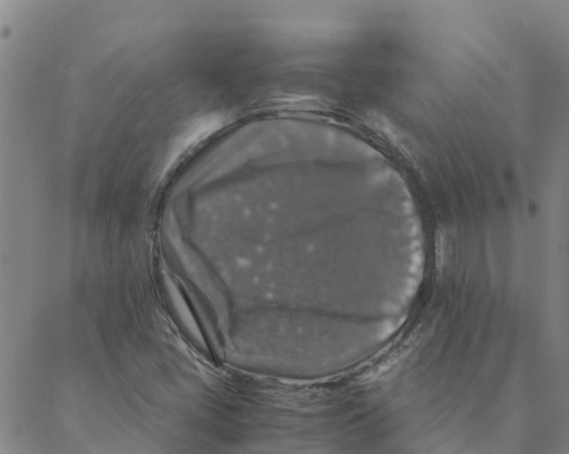 X0000088401405200706191346