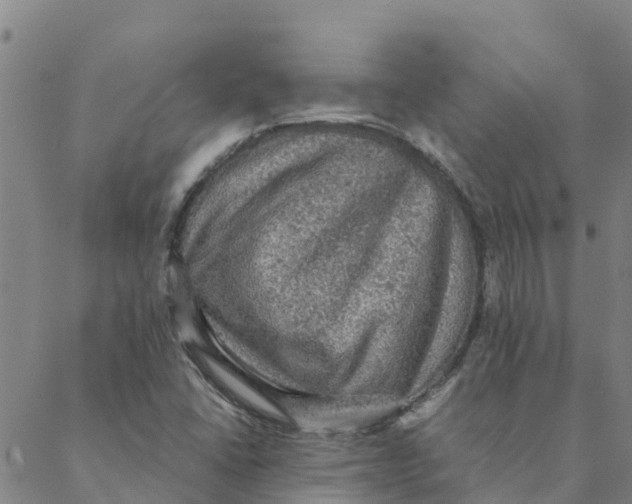 X0000088401406200706191346