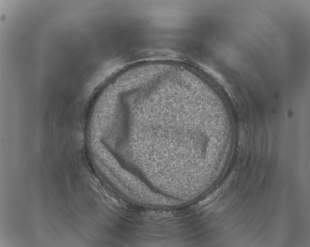 X0000088401407200706191346