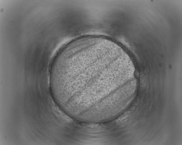 X0000088401408200706191346