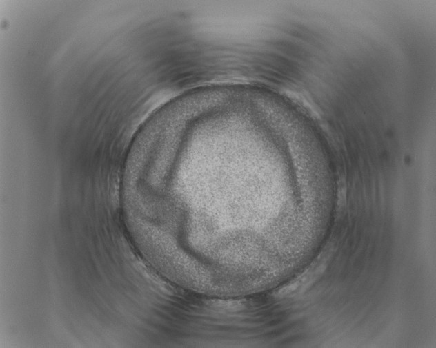 X0000088401409200706191346