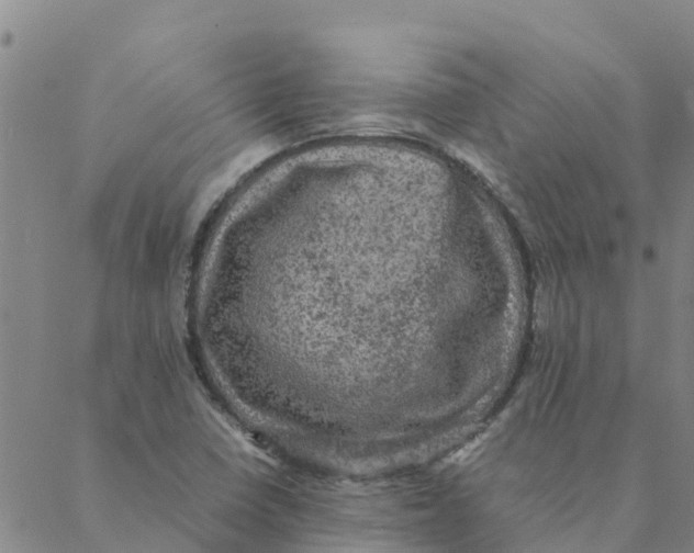 X0000088401410200706191346