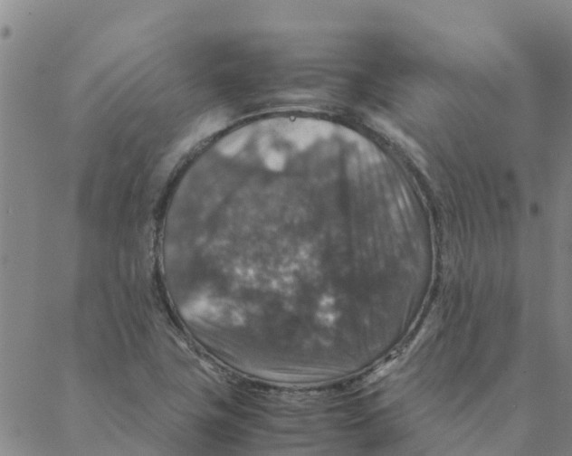 X0000088401411200706191346