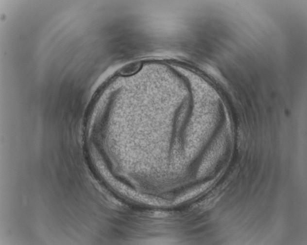 X0000088401412200706191346